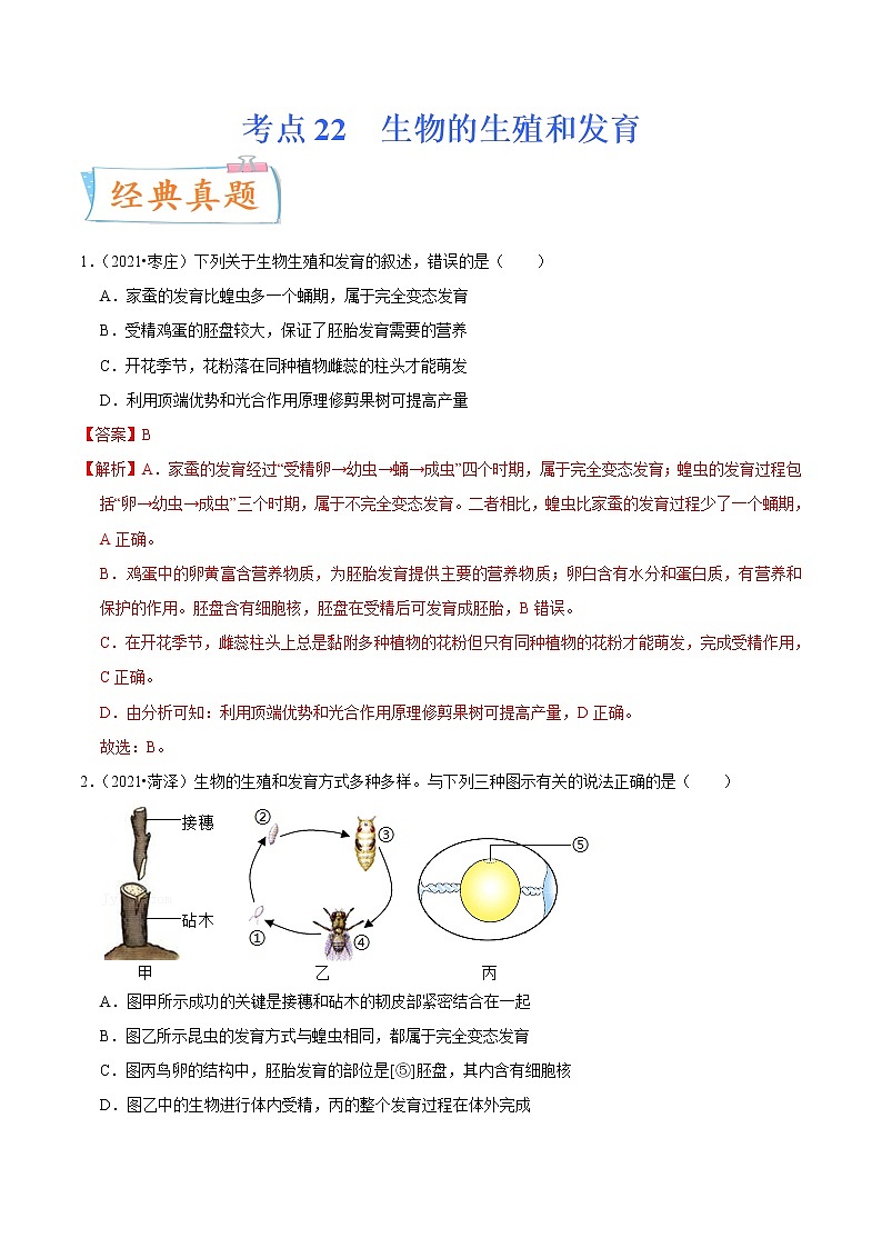 初中生物中考复习 考点22 生物的生殖和发育-备战2022年中考生物一轮复习考点微专题01