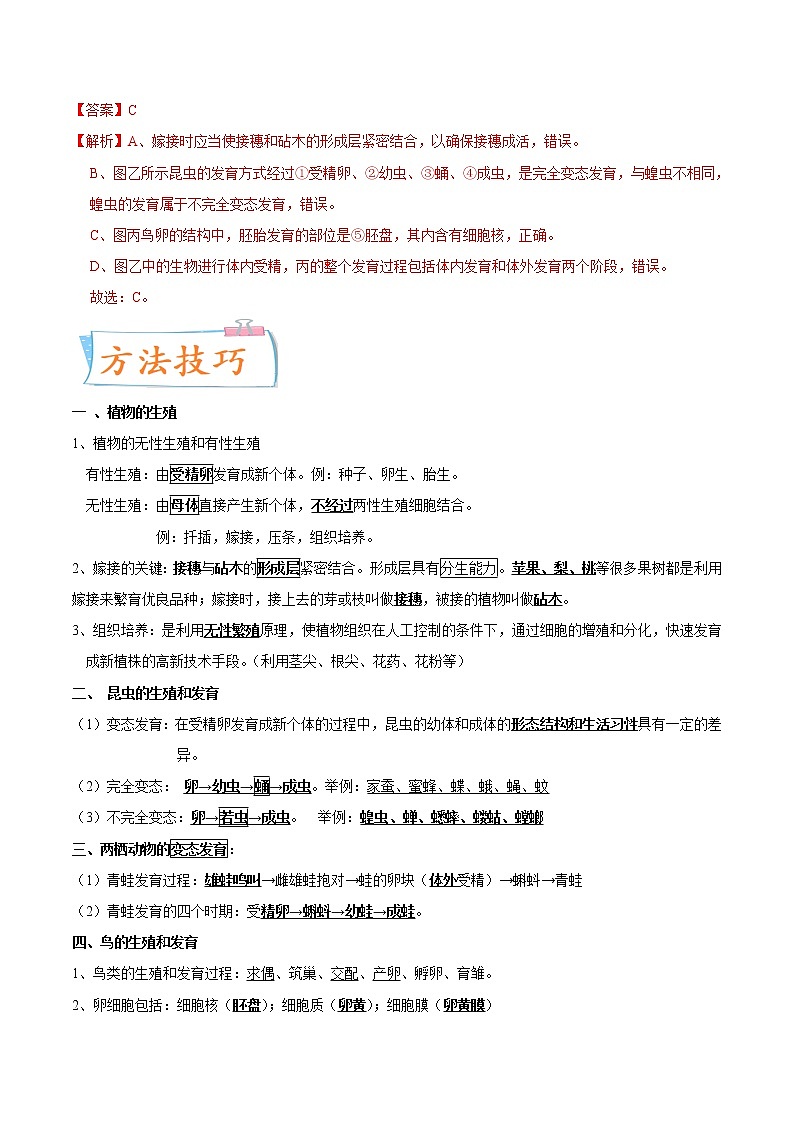 初中生物中考复习 考点22 生物的生殖和发育-备战2022年中考生物一轮复习考点微专题02