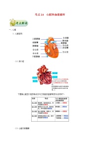 初中生物中考复习 考点24 心脏和血液循环-备战2021年中考生物考点一遍过