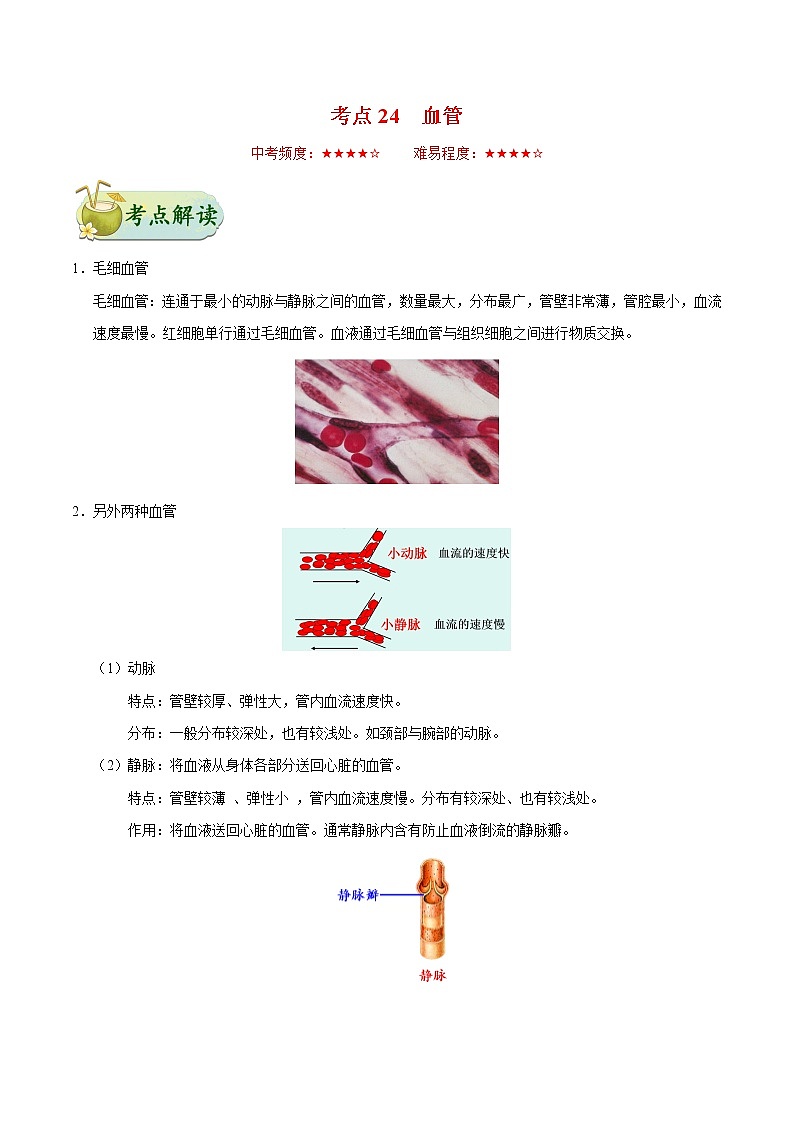 初中生物中考复习 考点24 血管-备战2019年中考生物考点一遍过第1页