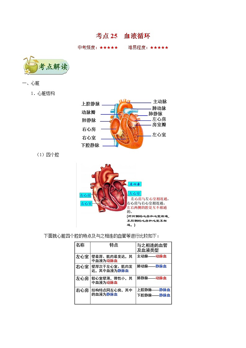 初中生物中考复习 考点25 血液循环-备战2019年中考生物考点一遍过第1页