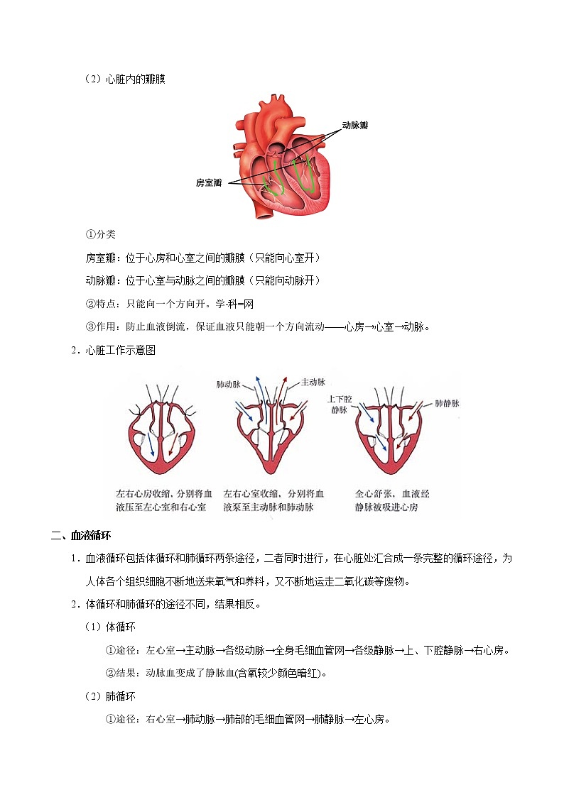 初中生物中考复习 考点25 血液循环-备战2019年中考生物考点一遍过第2页