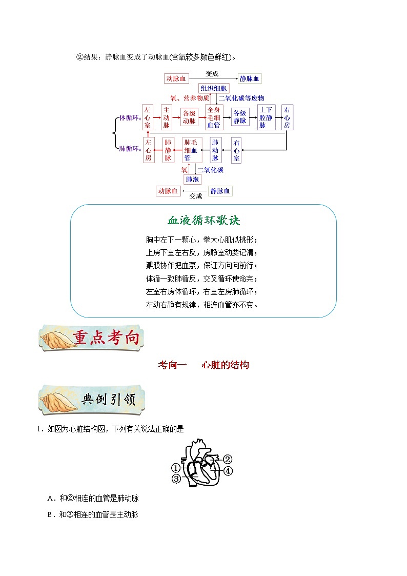 初中生物中考复习 考点25 血液循环-备战2019年中考生物考点一遍过第3页