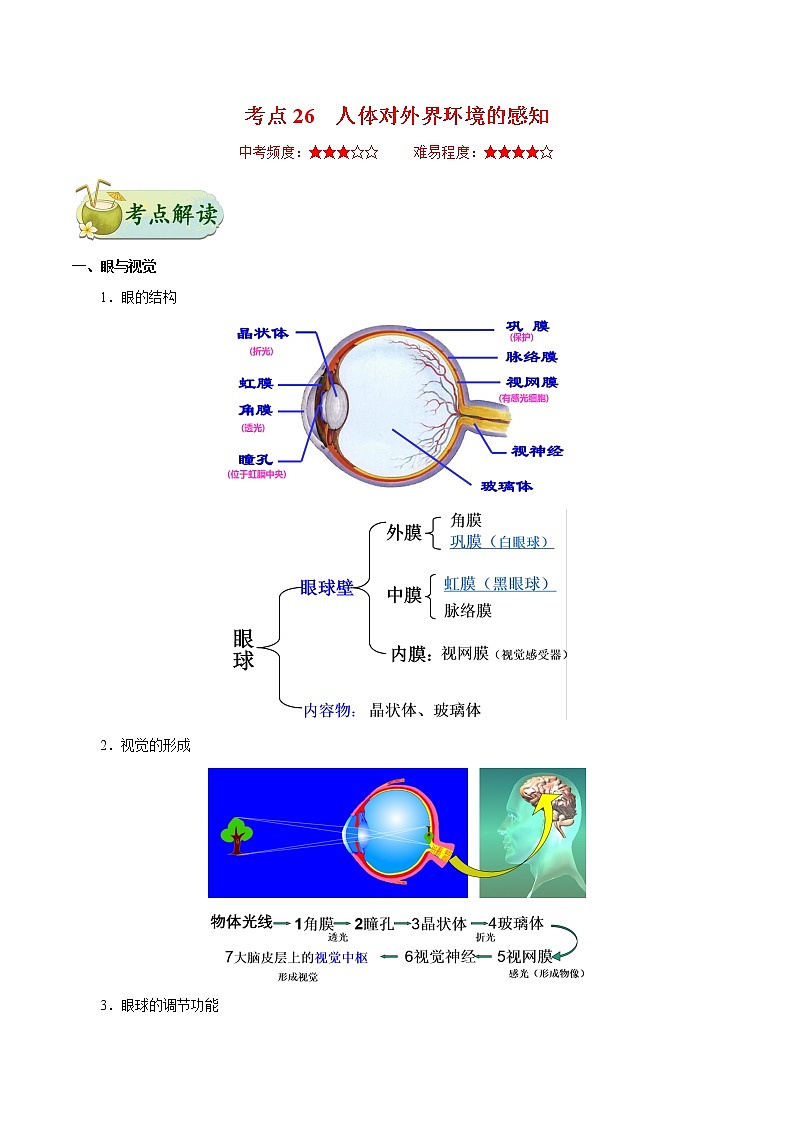 初中生物中考复习 考点26 人体对外界环境的感知-备战2021年中考生物考点一遍过第1页