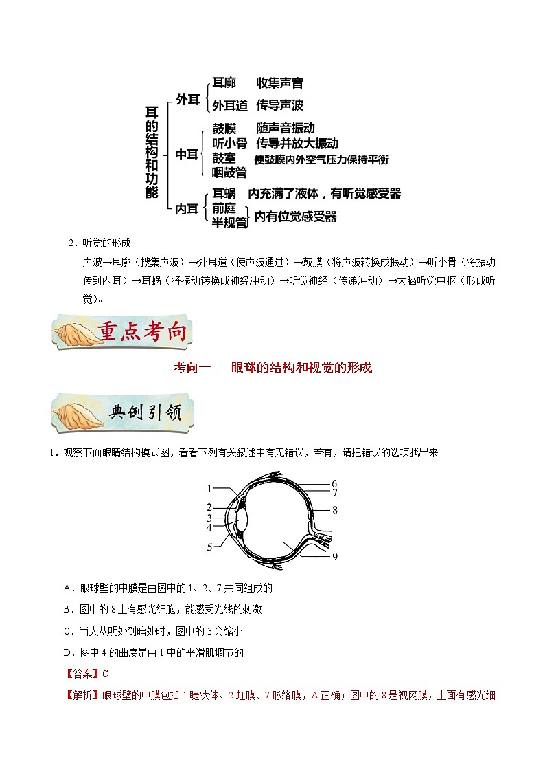 初中生物中考复习 考点26 人体对外界环境的感知-备战2021年中考生物考点一遍过第3页