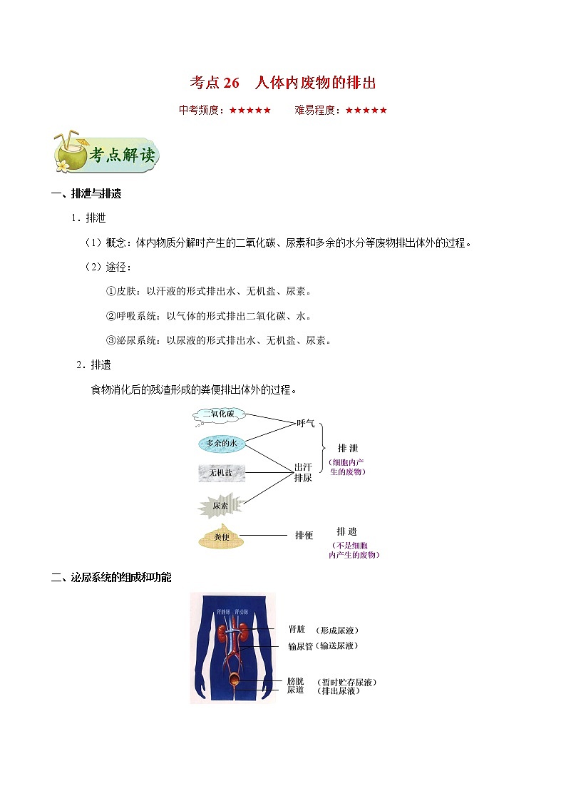 初中生物中考复习 考点26 人体内废物的排出-备战2019年中考生物考点一遍过第1页
