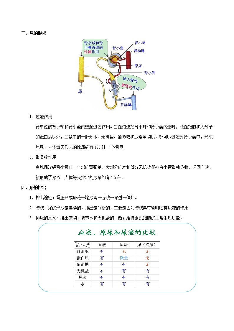 初中生物中考复习 考点26 人体内废物的排出-备战2019年中考生物考点一遍过第2页