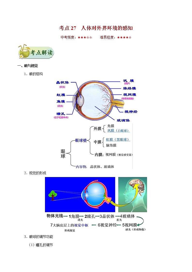 初中生物中考复习 考点27 人体对外界环境的感知-备战2019年中考生物考点一遍过第1页