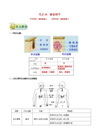 初中生物中考复习 考点28 激素调节-备战2021年中考生物考点一遍过