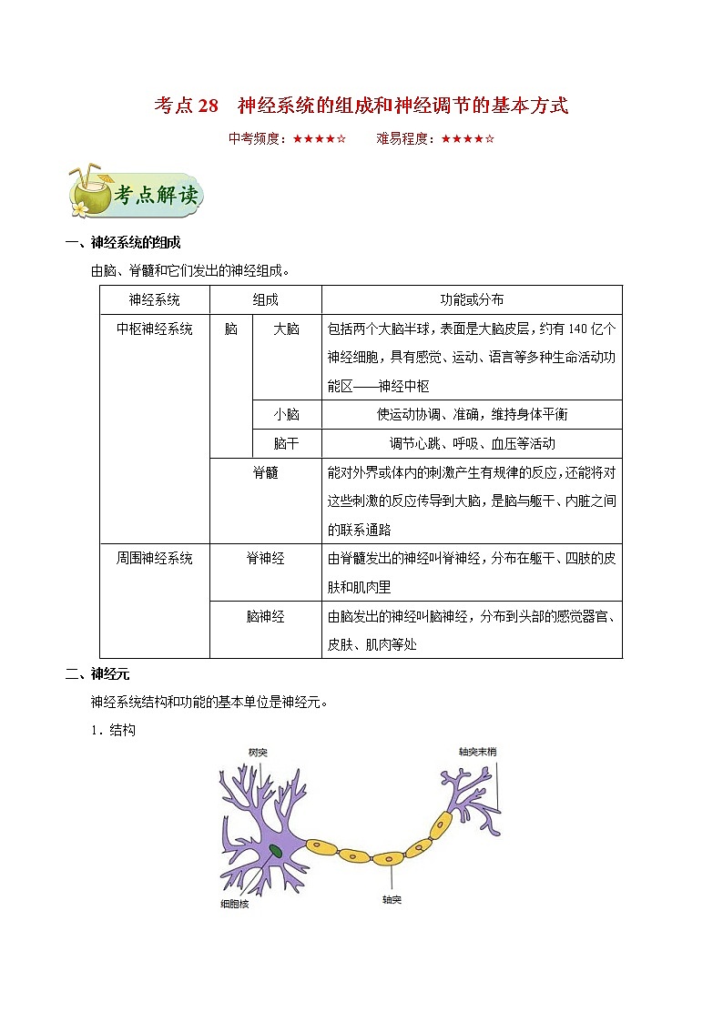 初中生物中考复习 考点28 神经系统的组成和神经调节的基本方式-备战2019年中考生物考点一遍过第1页