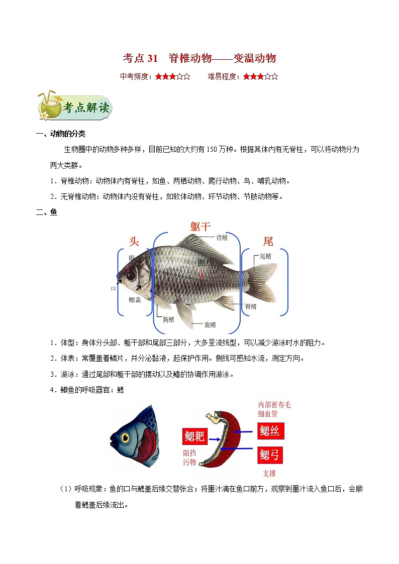 初中生物中考复习 考点31 脊椎动物——变温动物-备战2021年中考生物考点一遍过 试卷01