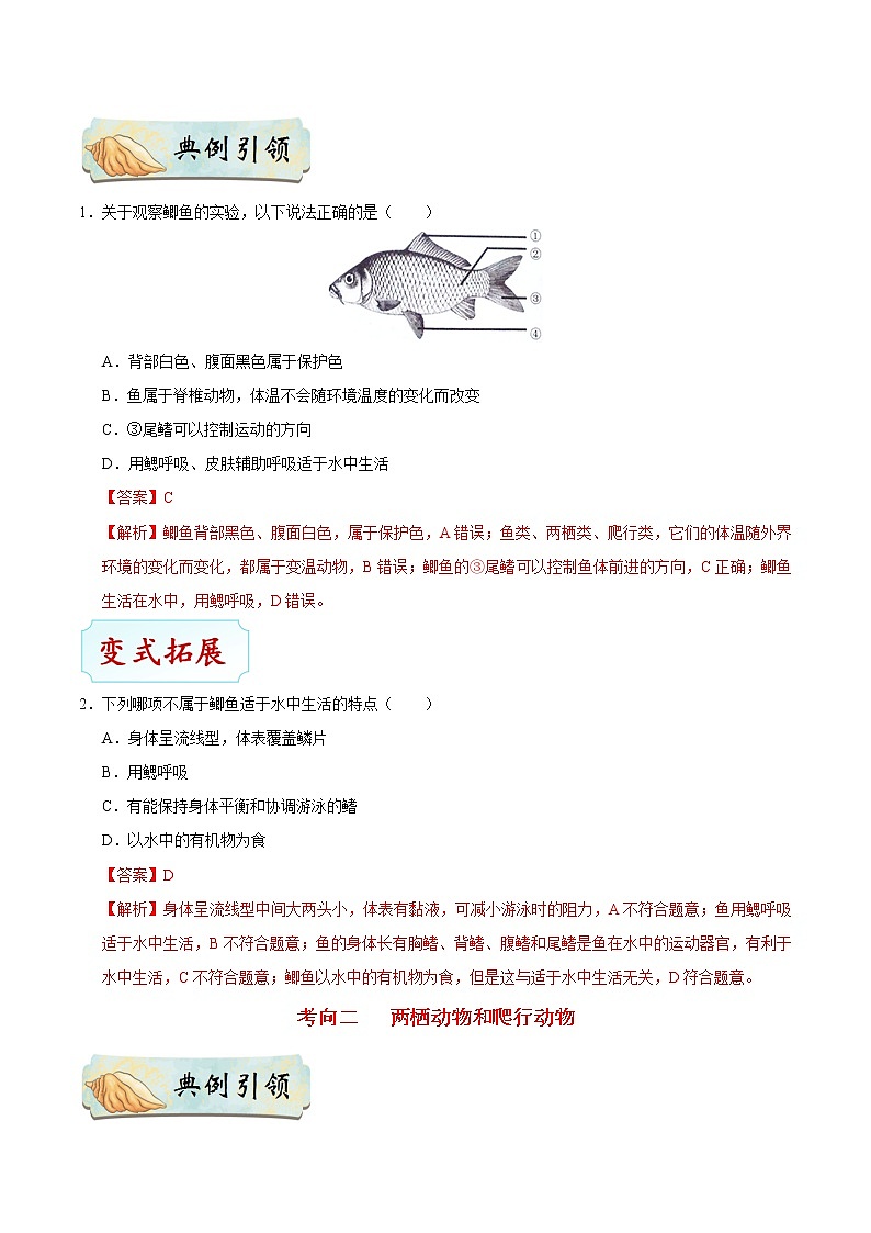初中生物中考复习 考点31 脊椎动物——变温动物-备战2021年中考生物考点一遍过 试卷03