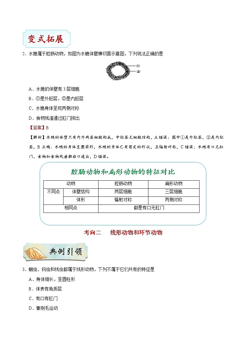 初中生物中考复习 考点31 无脊椎动物-备战2019年中考生物考点一遍过 试卷03