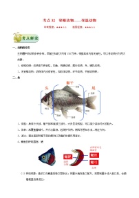 初中生物中考复习 考点32 脊椎动物——变温动物-备战2019年中考生物考点一遍过