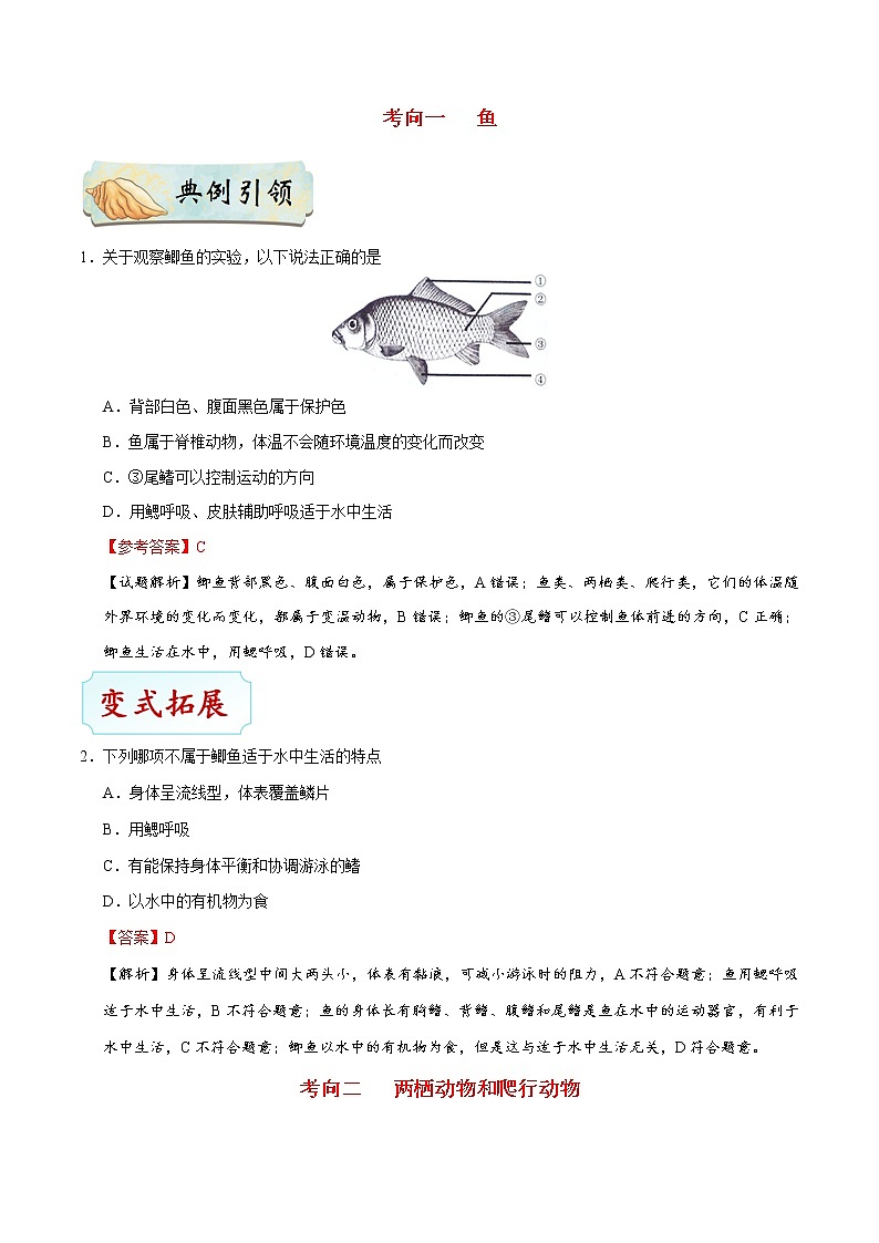 初中生物中考复习 考点32 脊椎动物——变温动物-备战2019年中考生物考点一遍过 试卷03