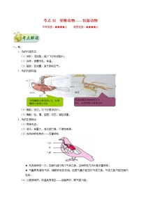 初中生物中考复习 考点32 脊椎动物——恒温动物-备战2021年中考生物考点一遍过