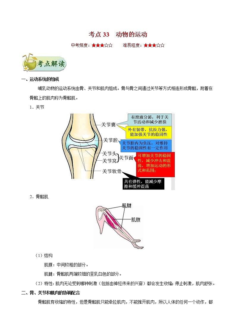 初中生物中考复习 考点33 动物的运动-备战2021年中考生物考点一遍过第1页