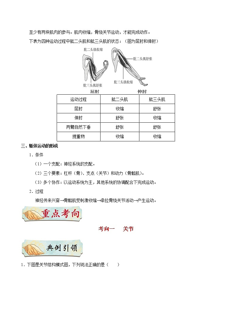 初中生物中考复习 考点33 动物的运动-备战2021年中考生物考点一遍过第2页