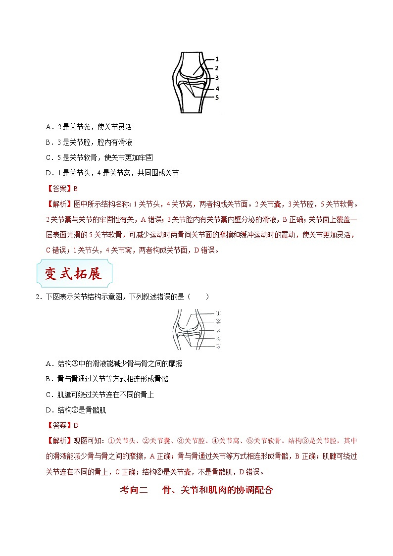 初中生物中考复习 考点33 动物的运动-备战2021年中考生物考点一遍过第3页