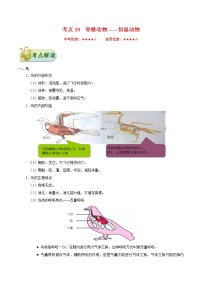 初中生物中考复习 考点33 脊椎动物——恒温动物-备战2019年中考生物考点一遍过