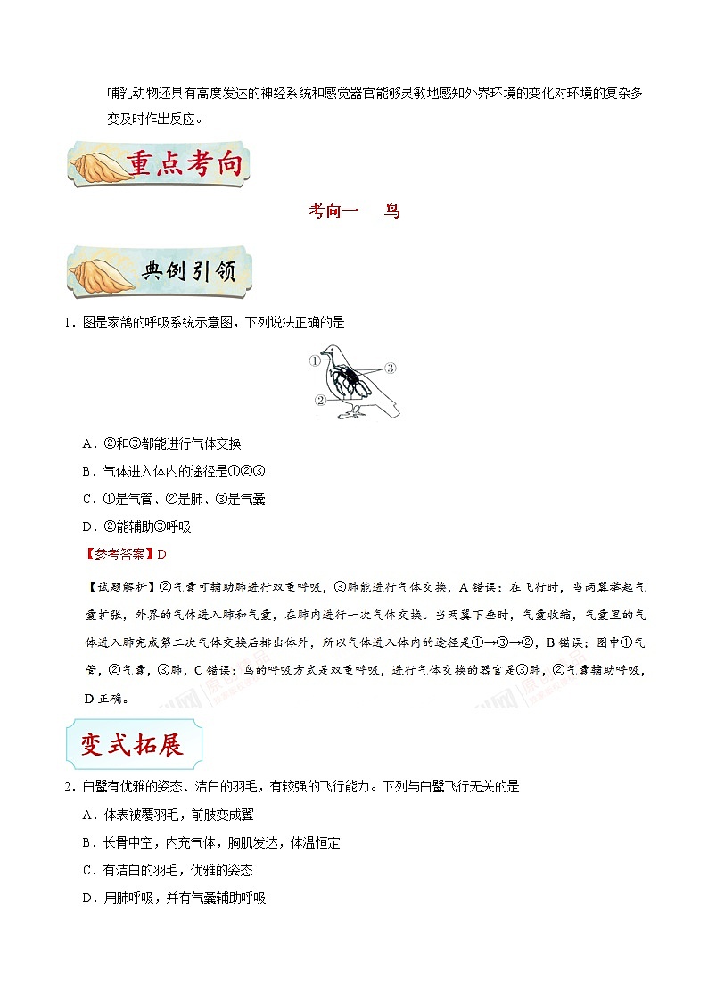 初中生物中考复习 考点33 脊椎动物——恒温动物-备战2019年中考生物考点一遍过 试卷03