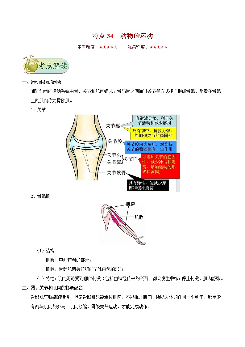 初中生物中考复习 考点34 动物的运动-备战2019年中考生物考点一遍过第1页