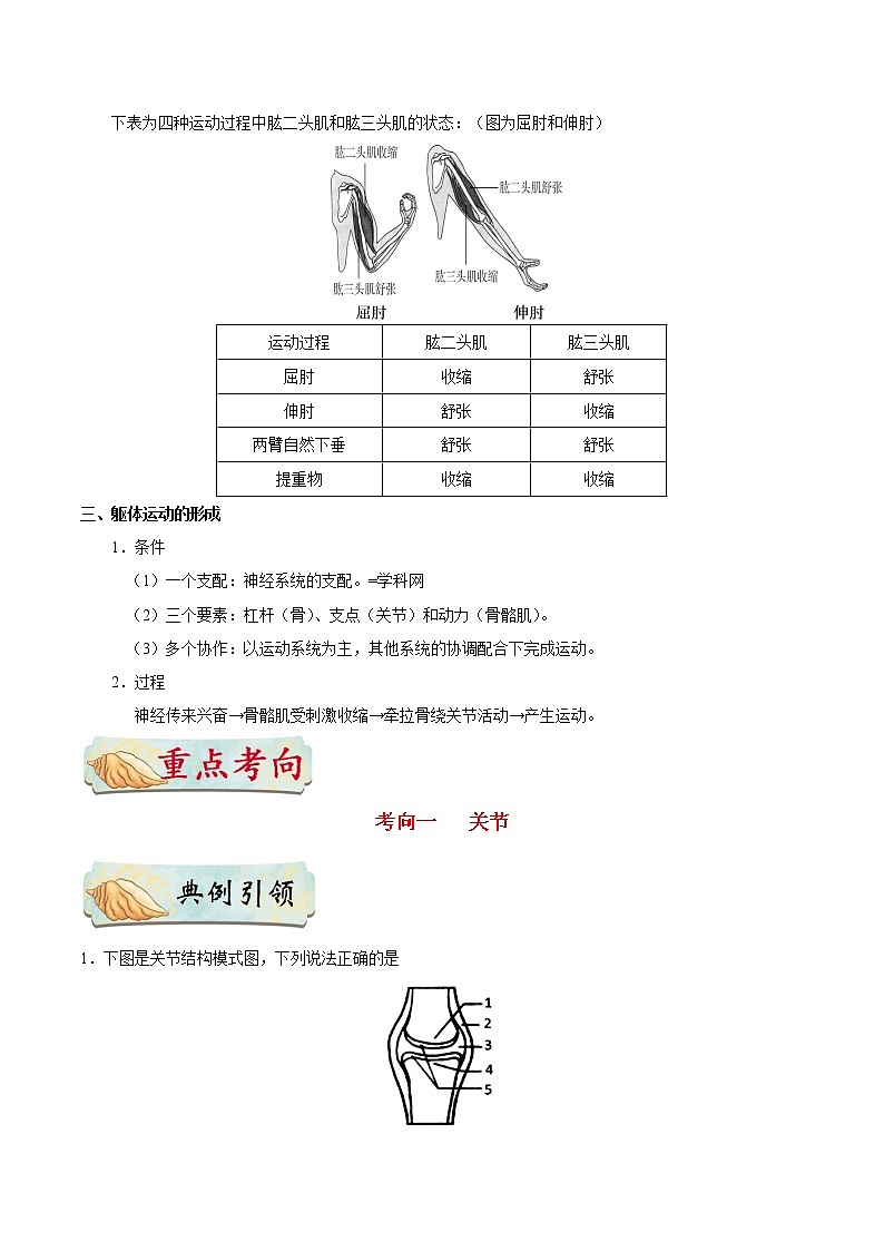 初中生物中考复习 考点34 动物的运动-备战2019年中考生物考点一遍过第2页