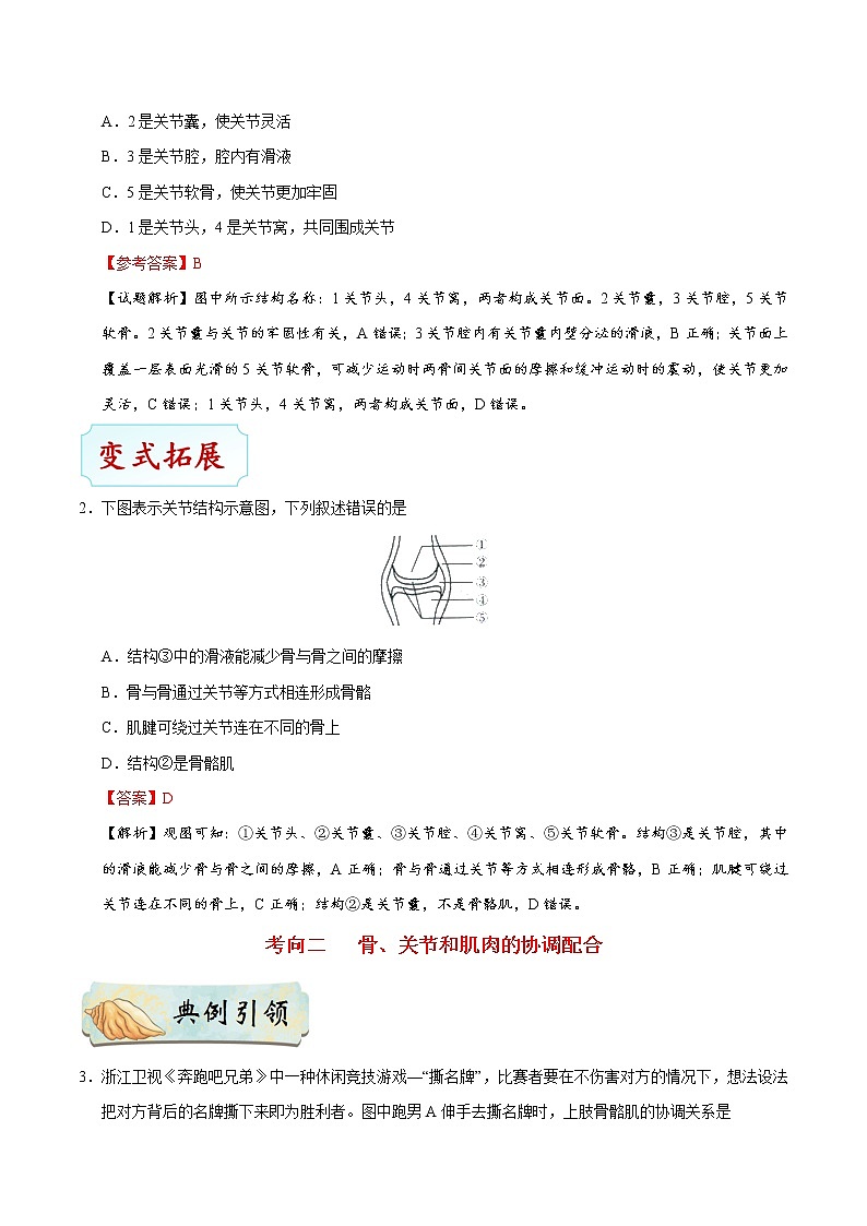 初中生物中考复习 考点34 动物的运动-备战2019年中考生物考点一遍过第3页
