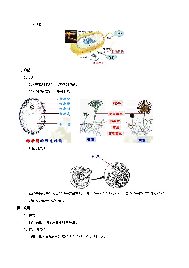 初中生物中考复习 考点36 细菌、真菌与病毒-备战2019年中考生物考点一遍过第2页