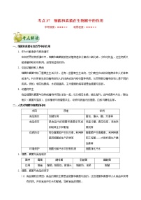 初中生物中考复习 考点37 细菌和真菌在生物圈中的作用-备战2019年中考生物考点一遍过