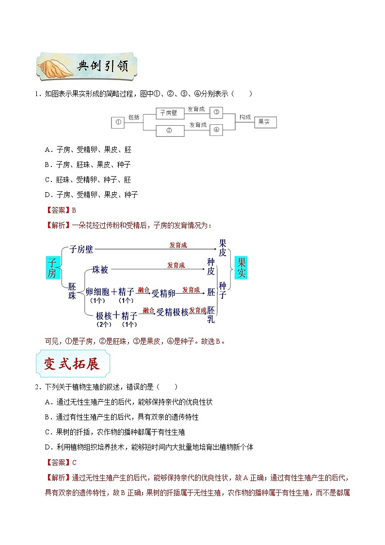初中生物中考复习 考点37 植物的生殖-备战2021年中考生物考点一遍过 试卷03