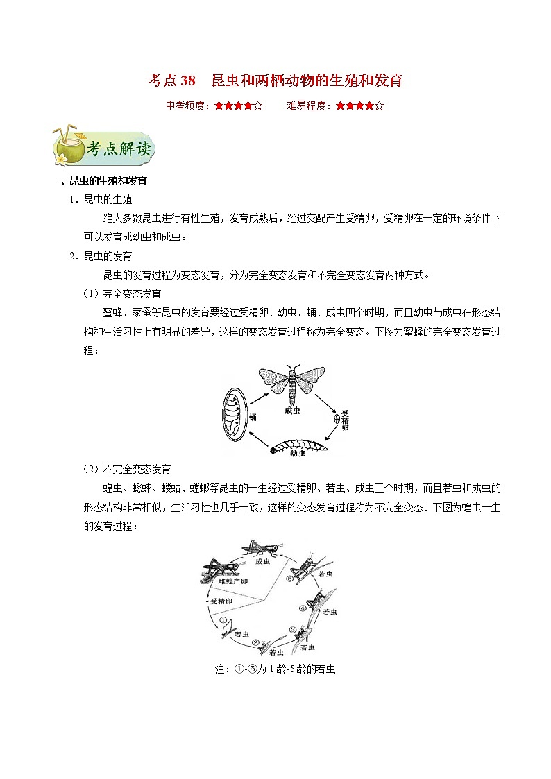 初中生物中考复习 考点38 昆虫和两栖动物的生殖和发育-备战2021年中考生物考点一遍过 试卷01