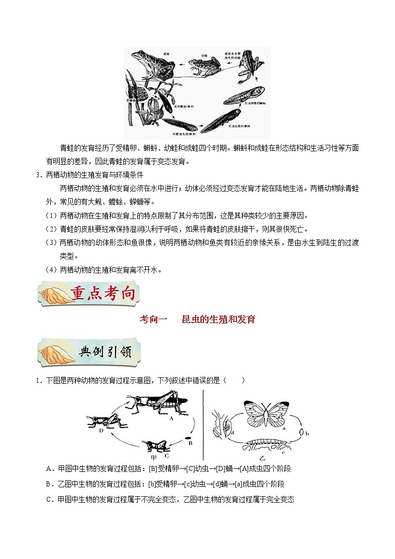 初中生物中考复习 考点38 昆虫和两栖动物的生殖和发育-备战2021年中考生物考点一遍过 试卷03