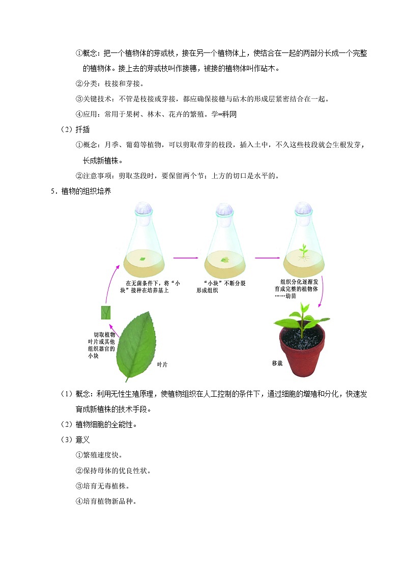 初中生物中考复习 考点39 植物的生殖-备战2019年中考生物考点一遍过 试卷02