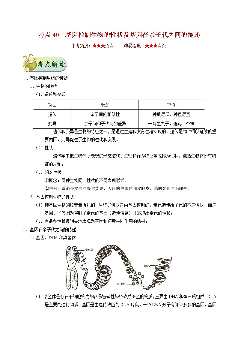 初中生物中考复习 考点40 基因控制生物的性状及基因在亲子代之间的传递-备战2021年中考生物考点一遍过 试卷01