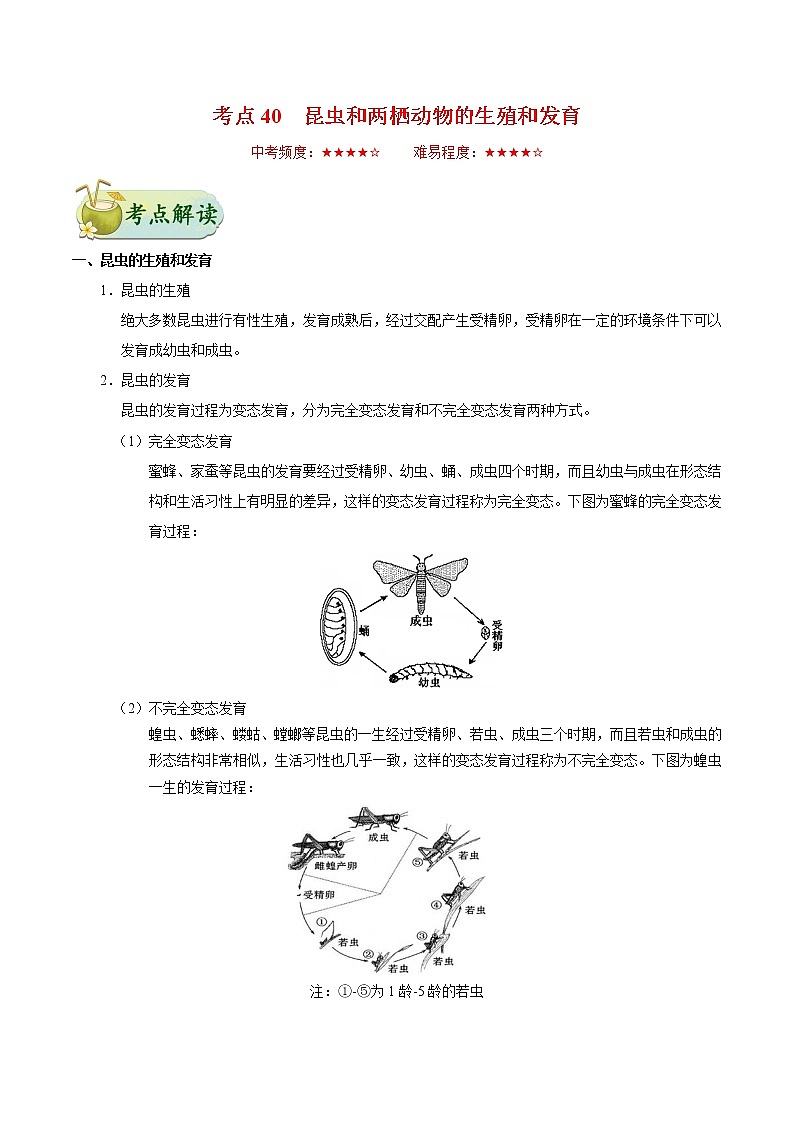 初中生物中考复习 考点40 昆虫和两栖动物的生殖和发育-备战2019年中考生物考点一遍过第1页