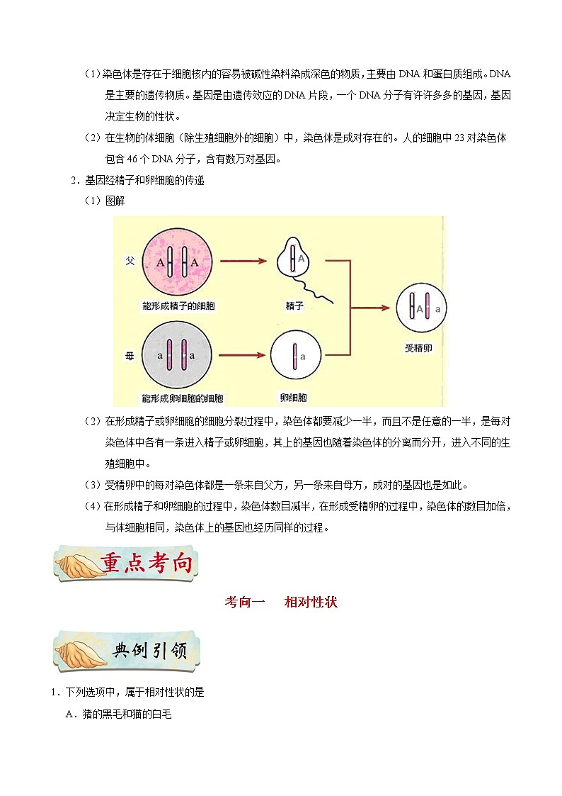 初中生物中考复习 考点42 基因控制生物的性状及基因在亲子代之间的传递-备战2019年中考生物考点一遍过第2页