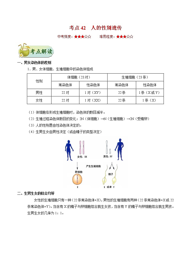 初中生物中考复习 考点42 人的性别遗传-备战2021年中考生物考点一遍过第1页