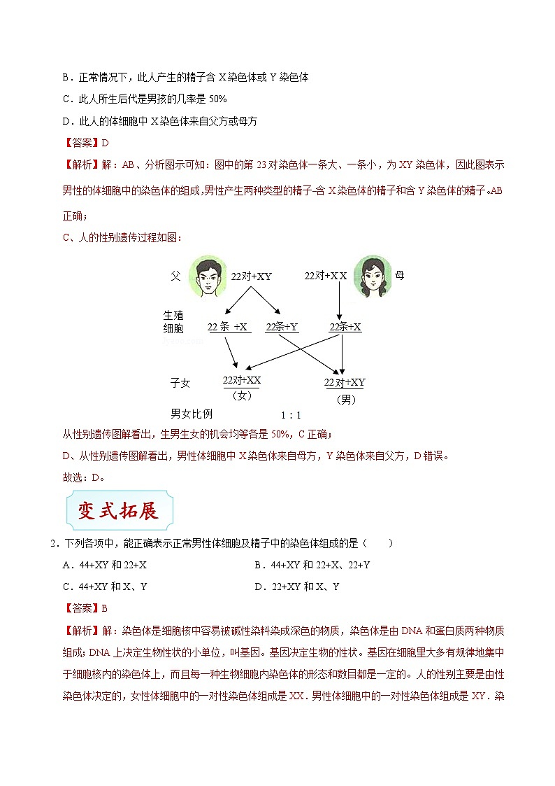 初中生物中考复习 考点42 人的性别遗传-备战2021年中考生物考点一遍过第3页