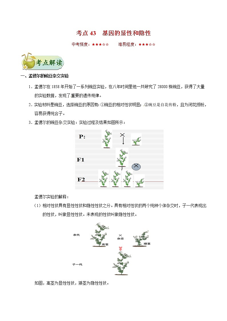 初中生物中考复习 考点43 基因的显性和隐性-备战2019年中考生物考点一遍过 试卷01