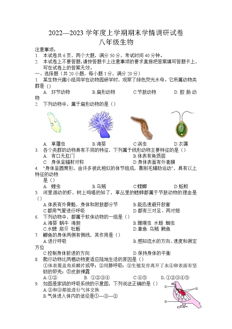 河南省周口市商水县2022-2023学年八年级上学期期末学情调研生物试卷01