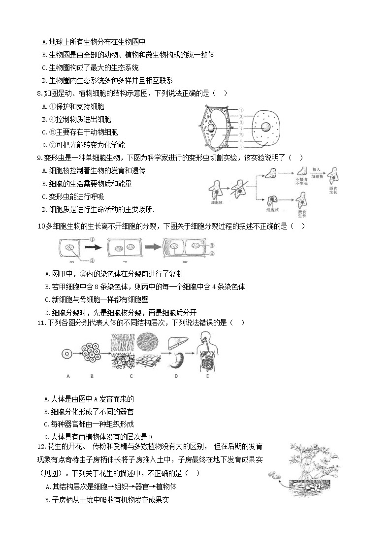 重庆市綦江区2022-2023学年七年级上学期期末考试生物试题02