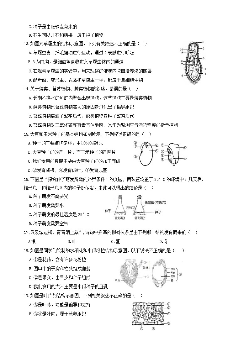 重庆市綦江区2022-2023学年七年级上学期期末考试生物试题第3页