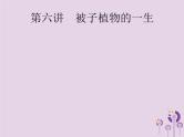 初中生物中考复习 课标通用中考生物总复习第二单元生物体的结构层次第六讲被子植物的一生课件