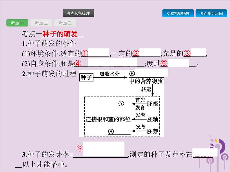 初中生物中考复习 课标通用中考生物总复习第二单元生物体的结构层次第六讲被子植物的一生课件第2页