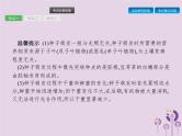 初中生物中考复习 课标通用中考生物总复习第二单元生物体的结构层次第六讲被子植物的一生课件