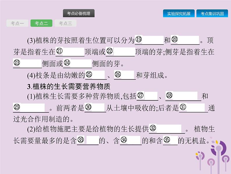 初中生物中考复习 课标通用中考生物总复习第二单元生物体的结构层次第六讲被子植物的一生课件第7页