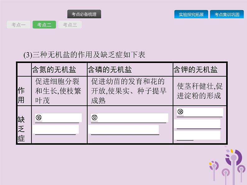 初中生物中考复习 课标通用中考生物总复习第二单元生物体的结构层次第六讲被子植物的一生课件第8页