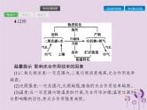 初中生物中考复习 课标通用中考生物总复习第二单元生物体的结构层次第八讲生物圈中的碳_氧平衡课件