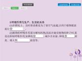 初中生物中考复习 课标通用中考生物总复习第二单元生物体的结构层次第八讲生物圈中的碳_氧平衡课件